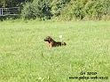 DSCF3771