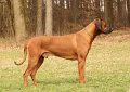 IMG_5179a