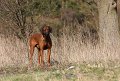 IMG_5420a