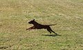 IMG_5492