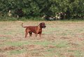 IMG_6543a