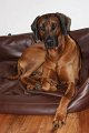 IMG_2974a