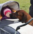 IMG_3336a