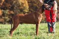 IMG_7731a