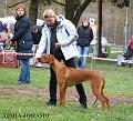 CAC_OSTRAVA_023