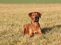 IMG_8212